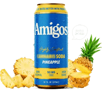 Can of Pineapple