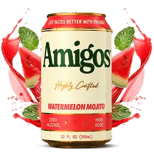 Can of Watermelon Mojito