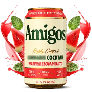 Can of Watermelon Mojito